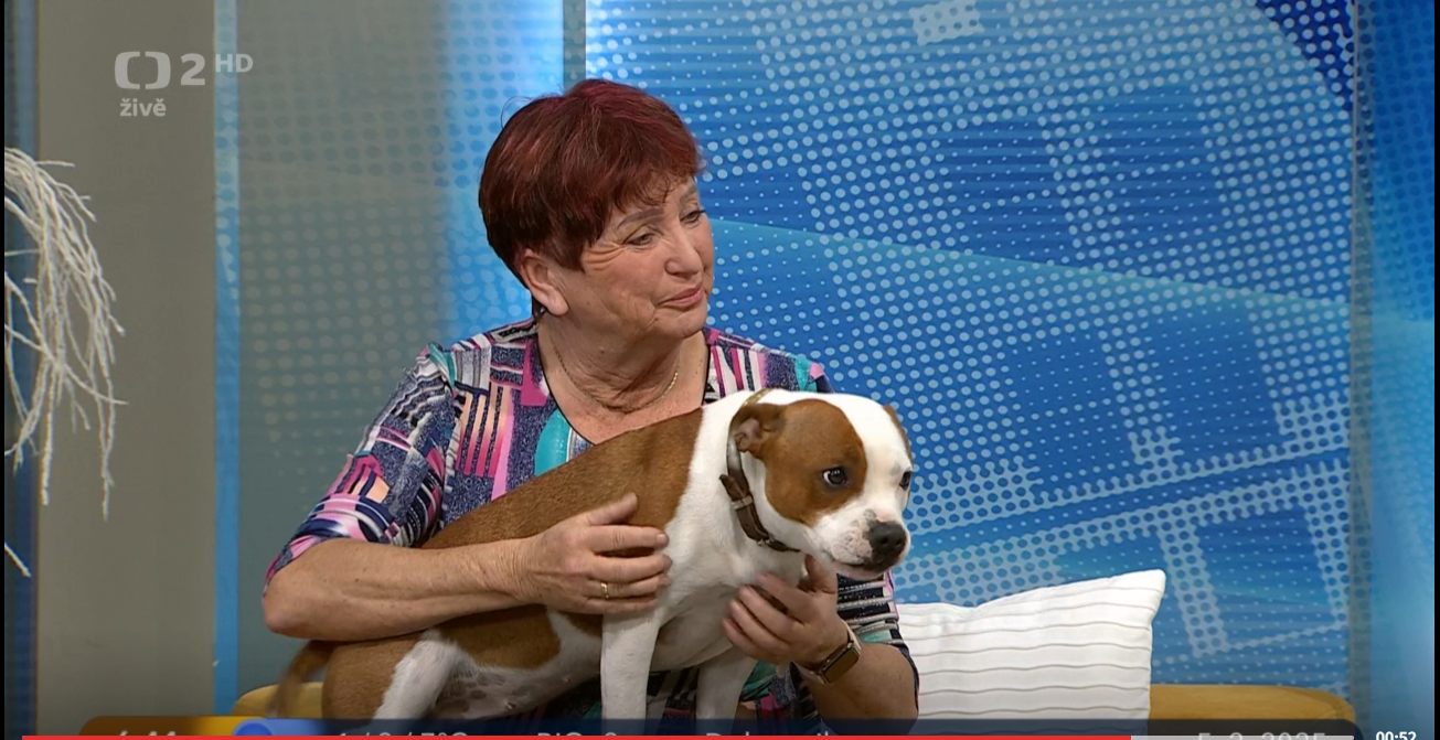 Snímek obrazovky 2026-03-09 083750.png